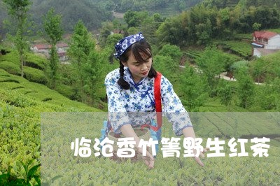 临沧香竹箐野生红茶/2023041627260