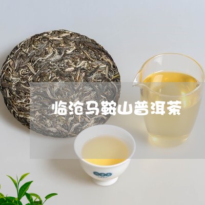 临沧马鞍山普洱茶/2023033157461