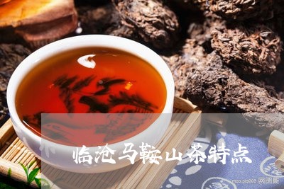 临沧马鞍山茶特点/2023032595968