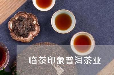 临茶印象普洱茶业/2023031785046