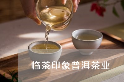 临茶印象普洱茶业/2023041299582