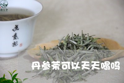 丹参茶可以天天喝吗/2023031898460