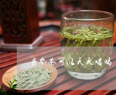 丹参茶可以天天喝吗/2023041469592