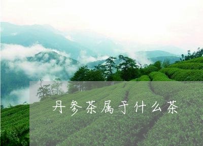 丹参茶属于什么茶/2023032496251