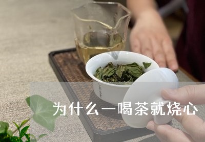 为什么一喝茶就烧心/2023041655159