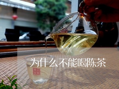 为什么不能喝陈茶/2023032270815