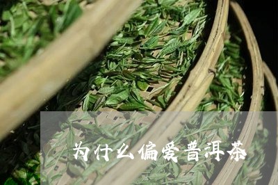 为什么偏爱普洱茶/2023040969493