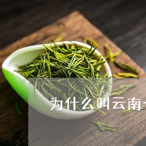 为什么叫云南七子茶/2023032173936