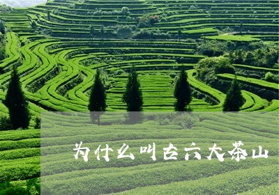 为什么叫古六大茶山/2023032066150