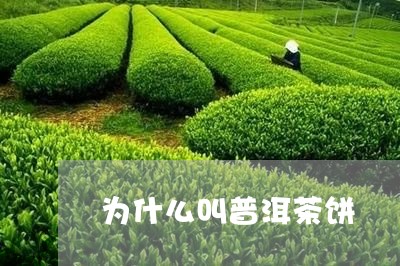 为什么叫普洱茶饼/2023041371624