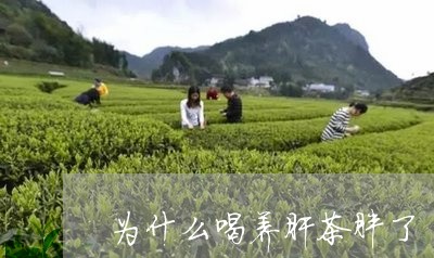 为什么喝养肝茶胖了/2023031830715