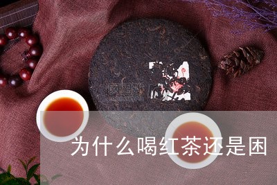 为什么喝红茶还是困/2023031969593