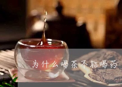 为什么喝茶不能喝药/2023041669571