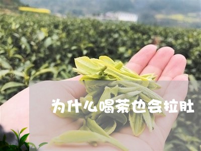 为什么喝茶也会拉肚/2023041603718