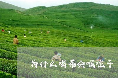 为什么喝茶会喉咙干/2023041605860