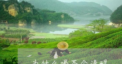 为什么喝茶会清醒/2023032526359