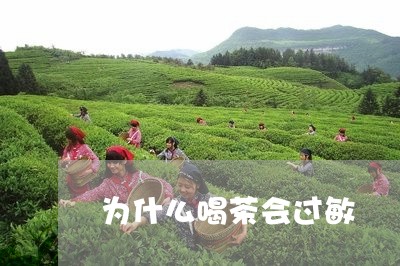 为什么喝茶会过敏/2023032537049