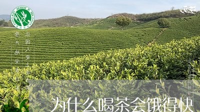 为什么喝茶会饿得快/2023041604057