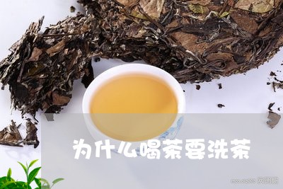 为什么喝茶要洗茶/2023032432614