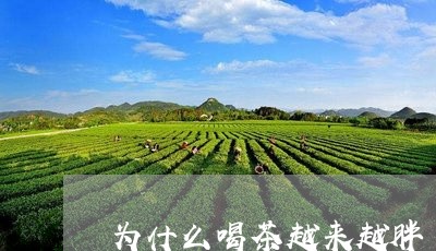 为什么喝茶越来越胖/2023032013936