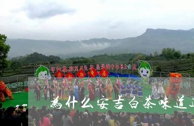 为什么安吉白茶味道这么淡/2023033184138