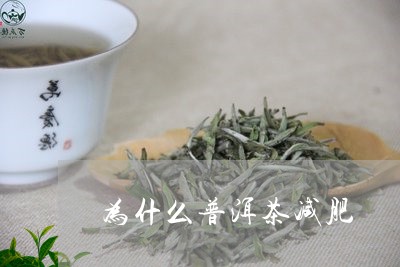 为什么普洱茶减肥/2023031735168