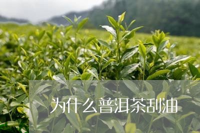 为什么普洱茶刮油/2023041296380