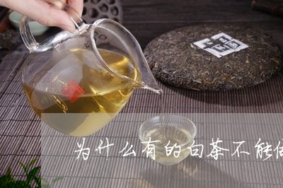 为什么有的白茶不能做岩茶/2023033187361