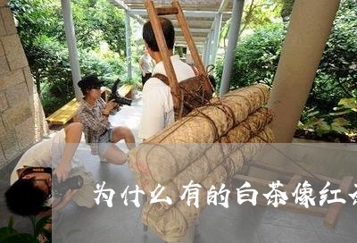 为什么有的白茶像红茶一样/2023033147460