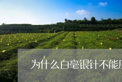 为什么白毫银针不能压茶饼/2023033170695