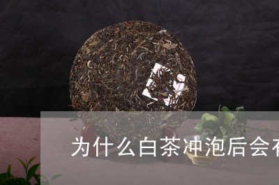 为什么白茶冲泡后会有异味/2023033107379