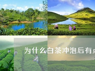 为什么白茶冲泡后有点苦味/2023033191703