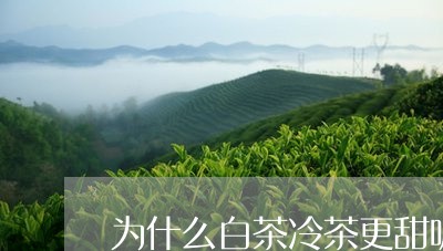 为什么白茶冷茶更甜呢/2023033118281