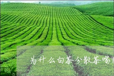 为什么白茶分散茶喝紧压茶/2023033146271