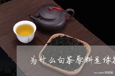 为什么白茶原料是绿茶推荐/2023033127351