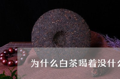 为什么白茶喝着没什么味道/2023033151948