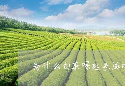 为什么白茶喝起来滋味寡淡/2023033174936