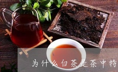 为什么白茶是茶中特殊珍品/2023033161581