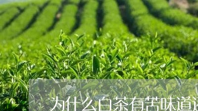 为什么白茶有苦味道还能喝/2023033130361