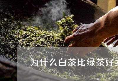 为什么白茶比绿茶好卖一点/2023033115179