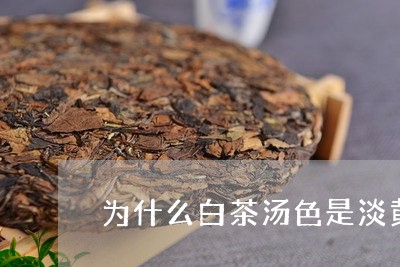 为什么白茶汤色是淡黄色的/2023033191835