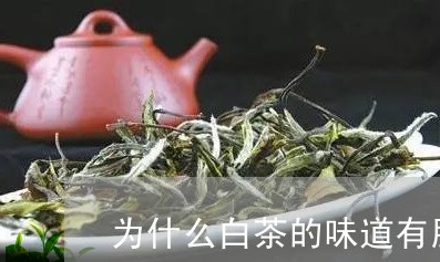 为什么白茶的味道有股臭味/2023033186951