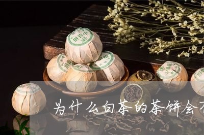 为什么白茶的茶饼会有异味/2023033187470