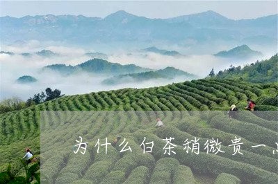 为什么白茶稍微贵一点好喝/2023033175957