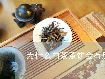 为什么白茶茶饼会有股腥味/2023033171615