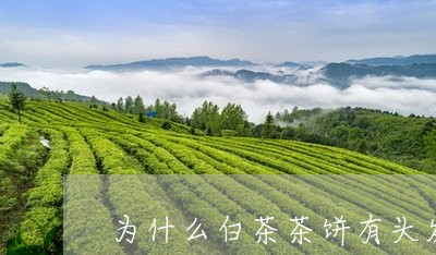 为什么白茶茶饼有头发味道/2023033159592