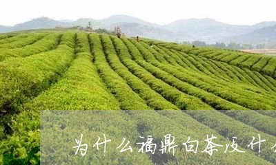 为什么福鼎白茶没什么香味/2023033186259