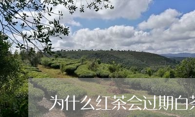 为什么红茶会过期白茶不会/2023033199371