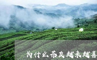 为什么茶友越来越喜欢白茶/2023033169614