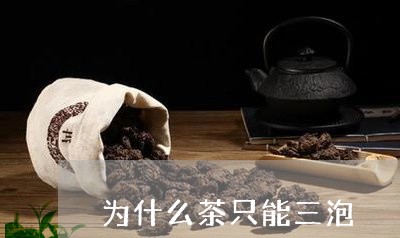 为什么茶只能三泡/2023032301806